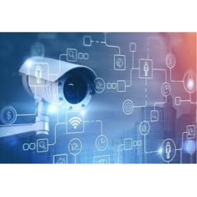 Video Surveillance System